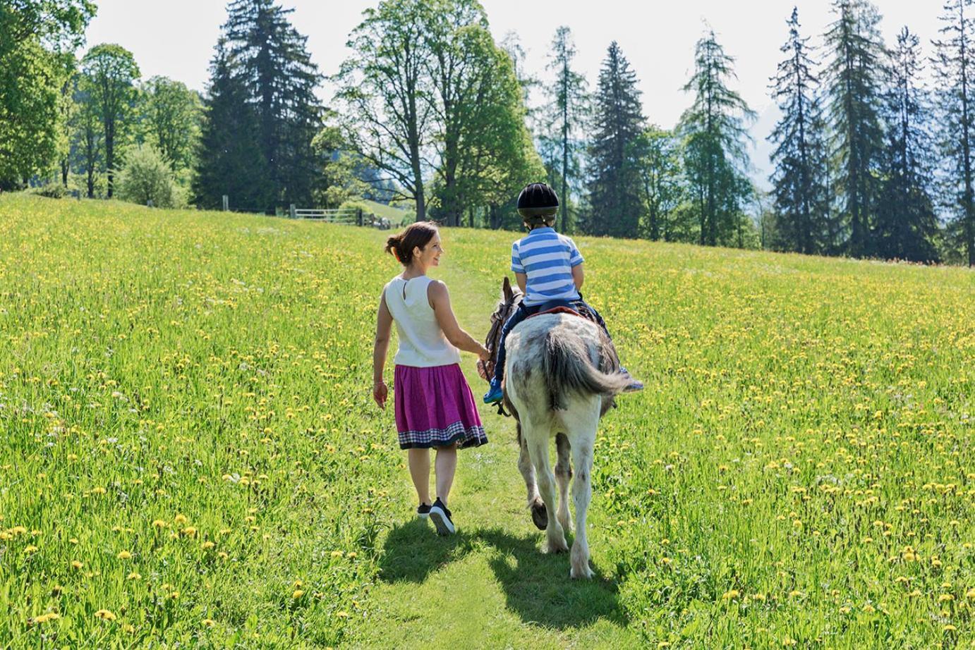 Farm stay Ramsbergerhof Ramsau am Dachstein